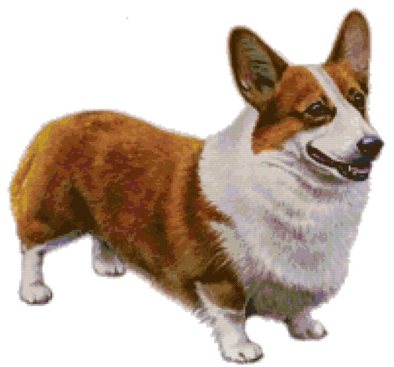Pembroke Welsh Corgi Dog Counted Cross Stitch Pattern