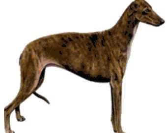 Greyhound Dog Counted Cross Stitch Pattern