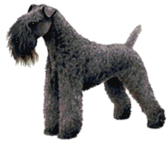 Kerry Blue Terrier Phone Case Wallet Kerry Blue Terrier Phone Case Wallet