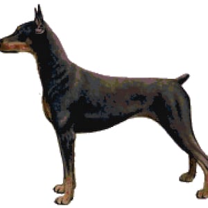 Doberman Pinscher Dog Counted Cross Stitch Pattern