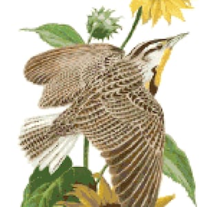 Wzór haftu krzyżykowego „Kansas State Bird & Flower”