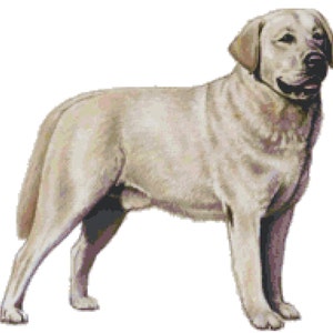 Labrador Retriever Dog Counted Cross Stitch Pattern