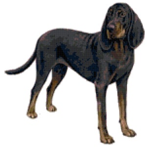 以下が含まれることがあります： 黒と茶色のブラッドハウンド犬が立っていて、頭が横を向いています。犬は長く垂れ下がった顔と垂れ下がった耳をしています。