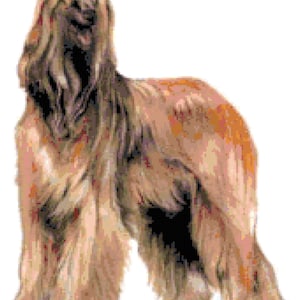 Afghan Hound Dog Counted Cross Stitch Pattern