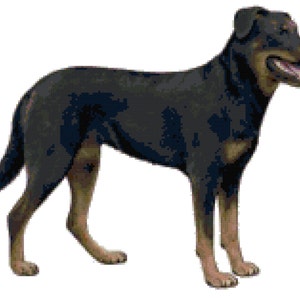 Beauceron Dog Counted Cross Stitch Pattern