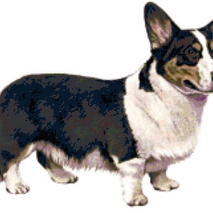 Cardigan Welsh Corgi Dog Counted Cross Stitch Pattern