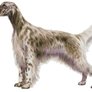 English Setter Dog Counted Cross Stitch Pattern