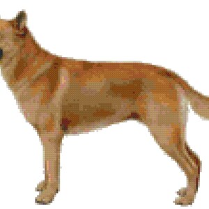 Chinook Dog Counted Cross Stitch Pattern