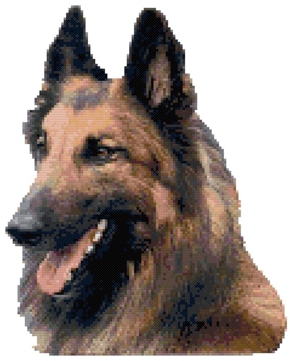 Belgian Tervuren Dog Portrait Counted Cross Stitch Pattern