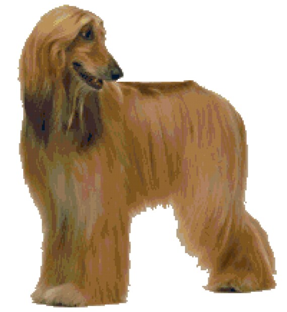 茶色のアフガンハウンド犬のクロスステッチパターン - Etsy 日本