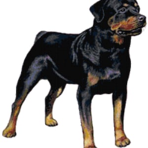 Rottweiler Dog Counted Cross Stitch Pattern