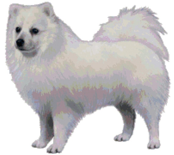 Japanese Spitz Dog Counted Cross Stitch Pattern Etsy Japanese Spitz Dog Counted Cross Stitch Pattern Etsy