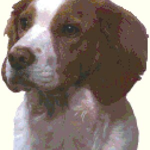 Brittany Dog Portrait Counted Cross Stitch Pattern