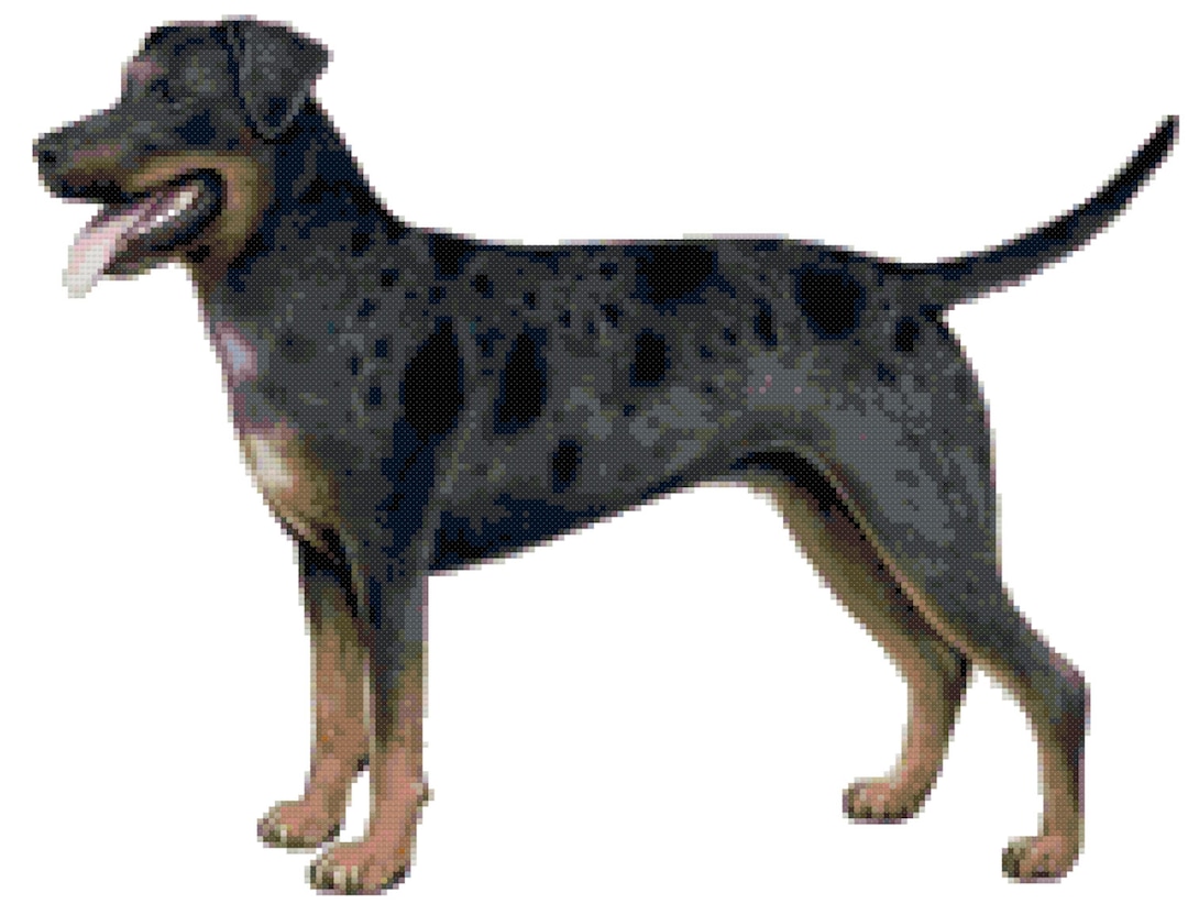 Catahoula Leopard Dog Counted Cross Stitch Pattern Norway