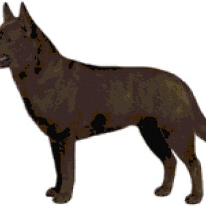 Australischer Kelpie Hund Zählmuster