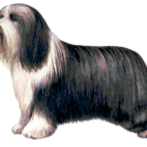 Bearded Collie Dog Counted Cross Stitch Pattern