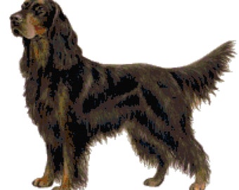 Gordon Setter Dog Counted Cross Stitch Pattern
