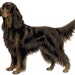 see more listings in the Dog Patterns section