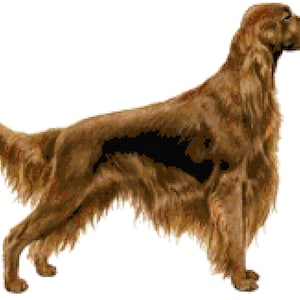 Irish Setter Dog Counted Cross Stitch Pattern