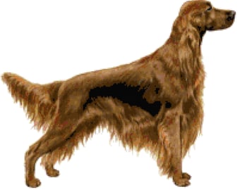 Irish Setter Dog Counted Cross Stitch Pattern
