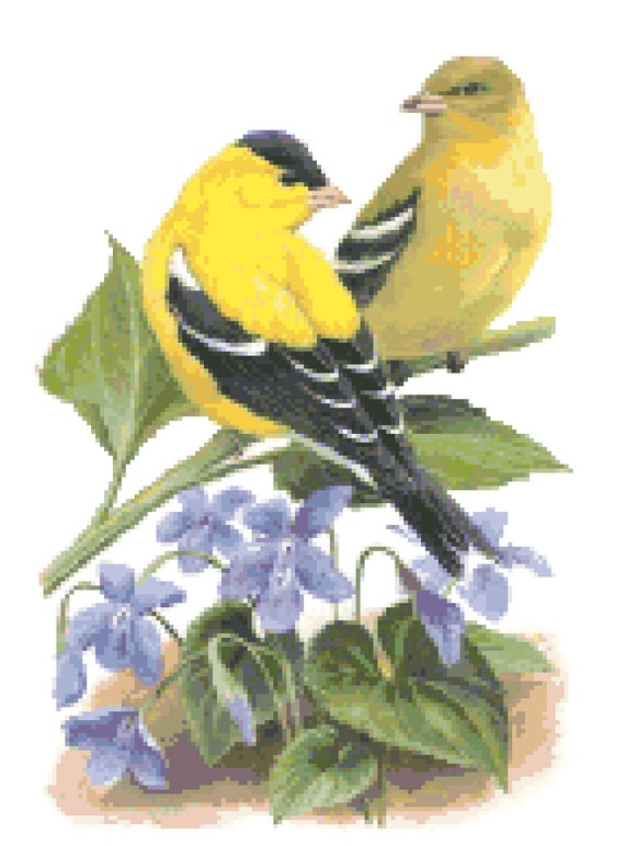New Jersey State Bird & Flower Counted Cross Stitch Pattern | Etsy