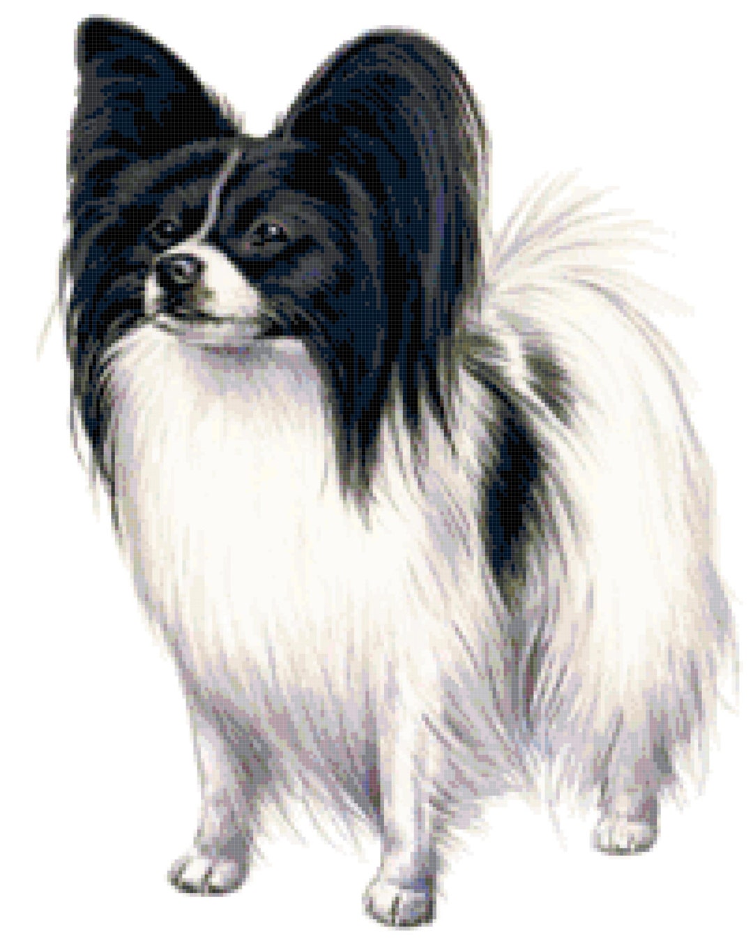 il_1080xN.450678860_rqui.jpg