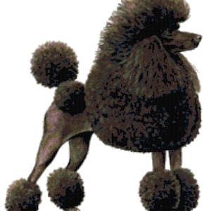 Miniature Poodle Dog Counted Cross Stitch Pattern