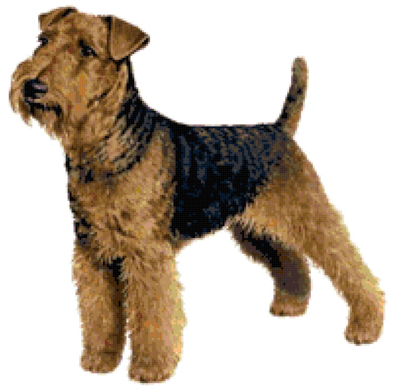 Welsh Terrier Dog Counted Cross Stitch Pattern image 1