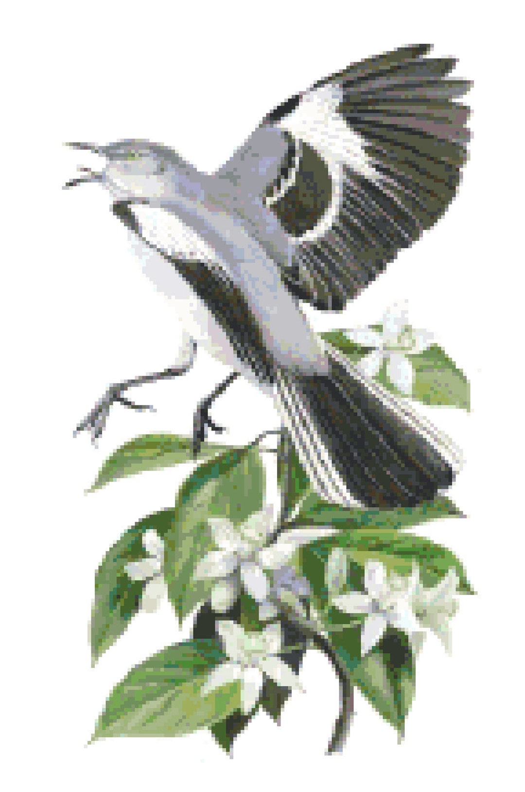 Florida State Bird & Flower Counted Cross Stitch Pattern Etsy