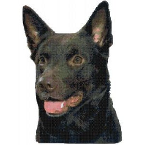 Australian Kelpie Portrait Dog Counted Cross Stitch Pattern