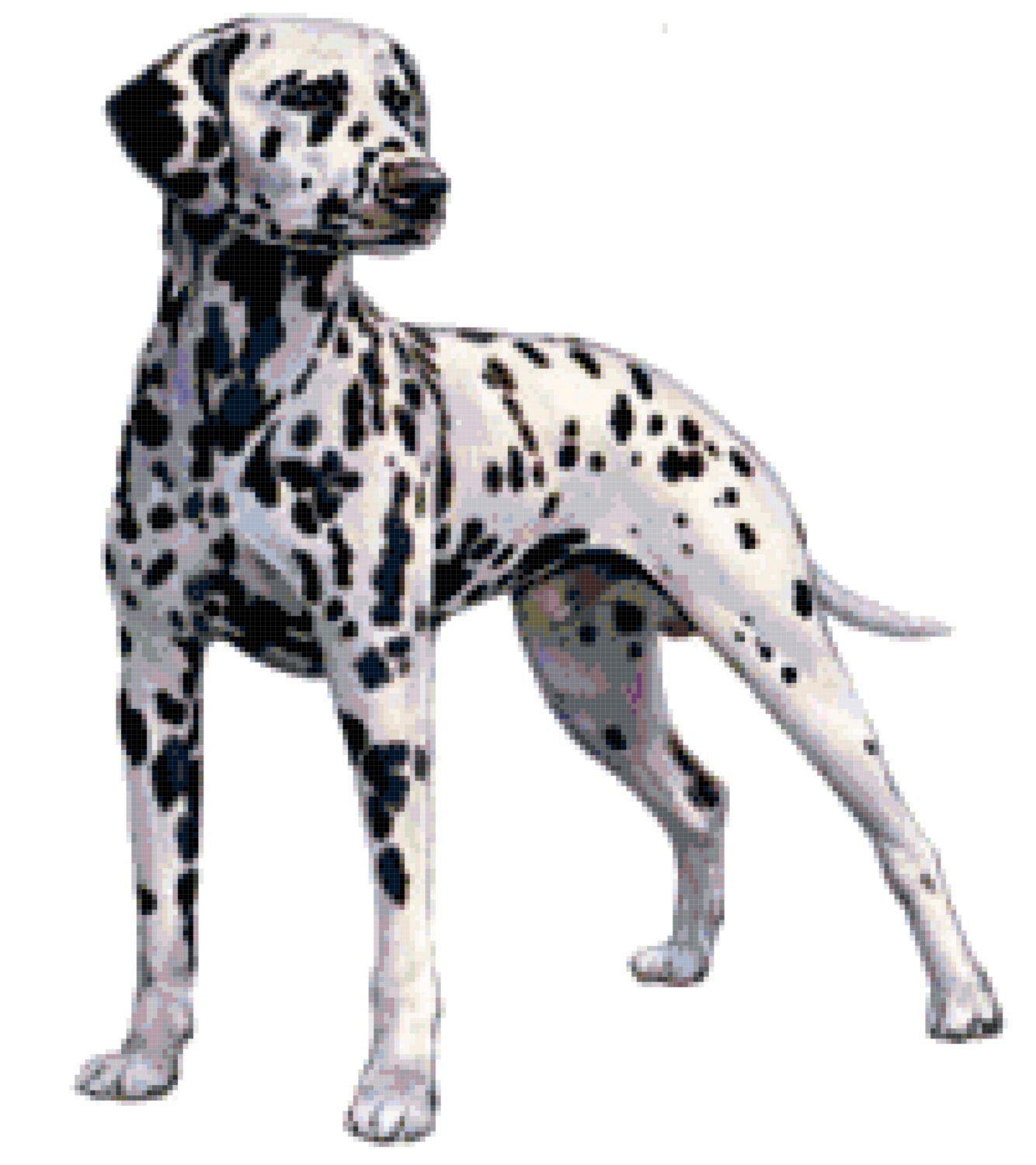 Dalmatian Dog Breed Information Dalmatian dogs, Dog breeds, Dogs