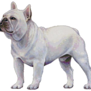 French Bulldog Dog Counted Cross Stitch Pattern