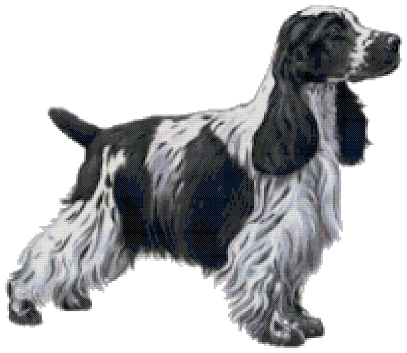 English Cocker Spaniel Dog Counted Cross Stitch Pattern | Etsy
