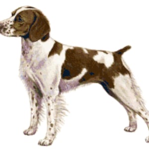 Brittany Dog Counted Cross Stitch Pattern