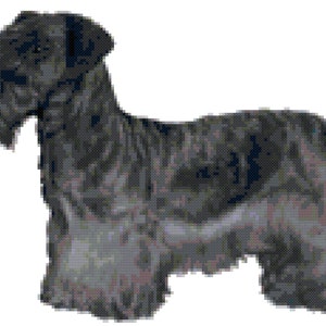 Cesky Terrier Dog Counted Cross Stitch Pattern