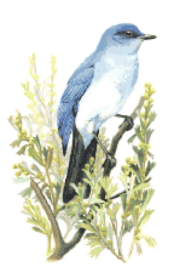 Nevada State Bird & Flower Counted Cross Stitch Pattern | Etsy
