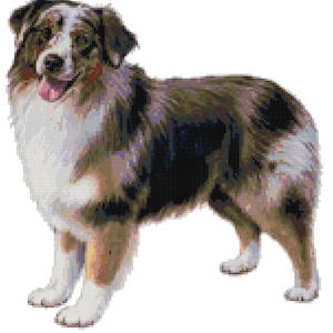Australian Shepherd Dog Counted Cross Stitch Pattern