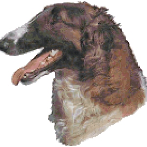 May include: A brown and white Russian Borzoi dog with its mouth open, showing its teeth. The dog's head is turned to the side, and its ears are perked up.