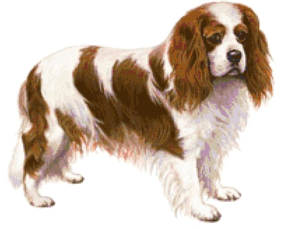 etsy cavalier king charles spaniel