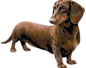 Dackel Hund Kreuzstichmuster