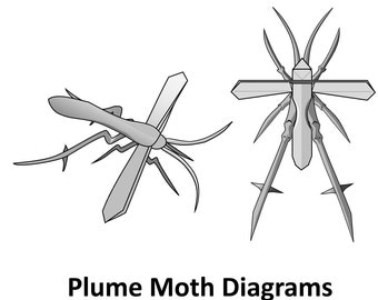 Origami Plume Moth Diagrams