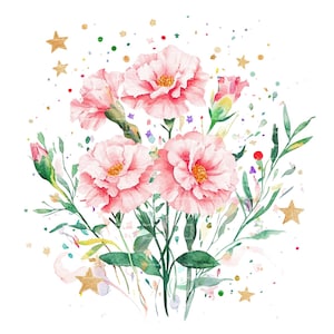 Clipart de ramo de flores del mes de nacimiento de clavel, cumpleaños de enero, PNG para invitación, tarjeta de agradecimiento, descarga digital instantánea, diario basura