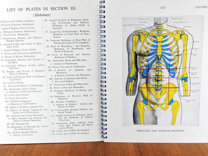 Regional Anatomy Book