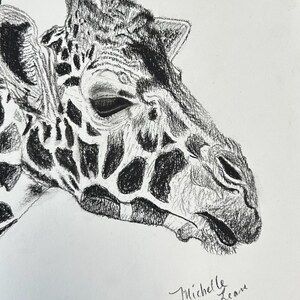 Stampa giclée giraffa