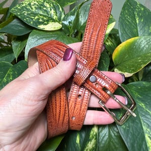Justin Boots Vintage Genuine Lizard Brown  Leather Belt Vintage Justin Boots Genuine Lizard Belt Small 28 quality  main image 3
