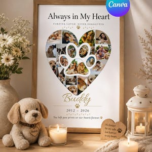 Puede incluir: Un póster conmemorativo para mascotas enmarcado con un collage de fotos en forma de corazón y una huella central. El texto dice Always in My Heart, Forever Loved, Never Forgotten, Buddy, 2012-2026 y You left paw prints on our hearts forever.