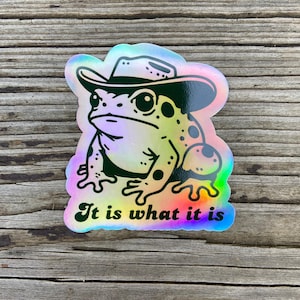 It Is What It Is Sticker, Funny Frog Meme Sticker, Holographic Vintage Cowboy Toad Sticker, Gen Z Humor, Cute Waterproof Stickers, Gift Holographic
