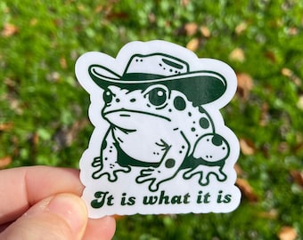 It Is What It Is Sticker, Funny Frog Meme Sticker, Holographic Vintage Cowboy Toad Sticker, Gen Z Humor, Cute Waterproof Stickers, Gift