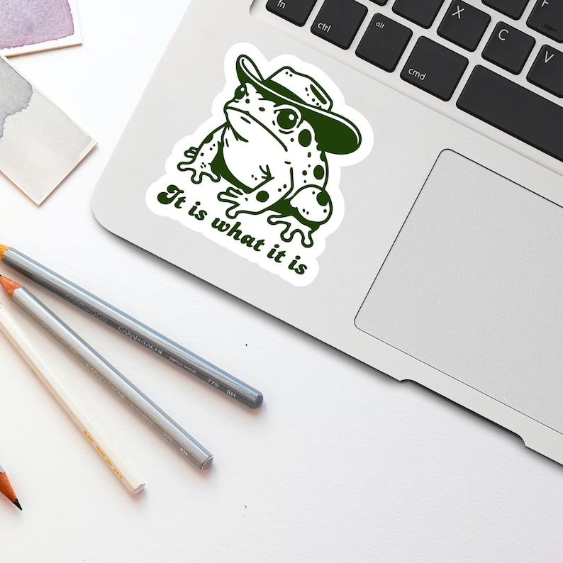 It Is What It Is Sticker, Funny Frog Meme Sticker, Holographic Vintage Cowboy Toad Sticker, Gen Z Humor, Cute Waterproof Stickers, Gift image 4