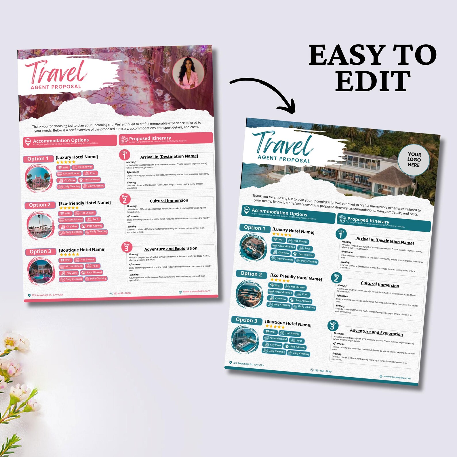 Travel Agent Proposal Template, Editable Travel Agent Template, Travel